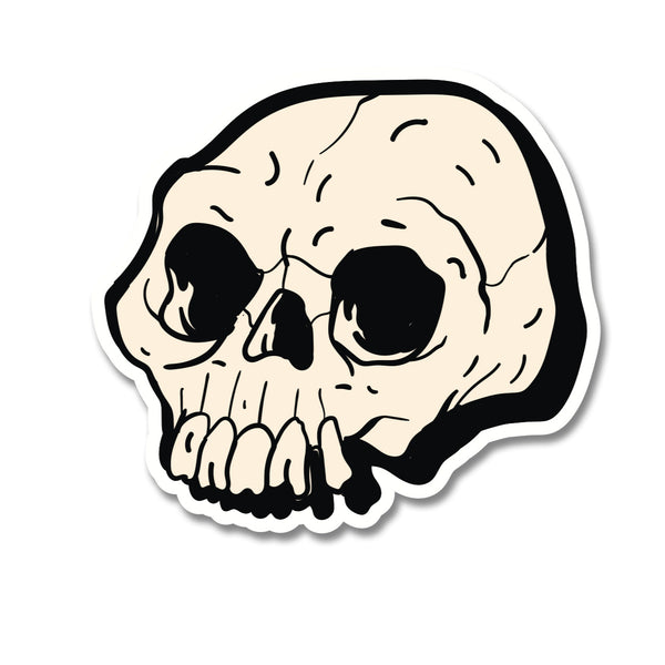 10115: POPOUT Sticker-L Bone Skull